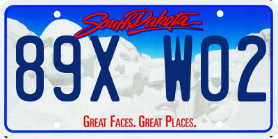 SD license plate 89XW02
