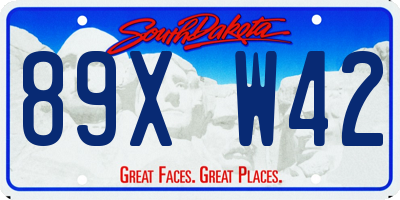 SD license plate 89XW42