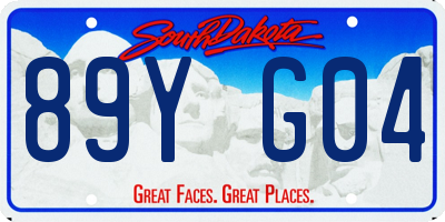 SD license plate 89YG04