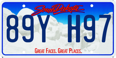 SD license plate 89YH97