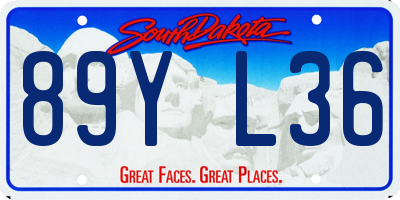 SD license plate 89YL36