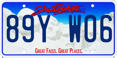 SD license plate 89YW06