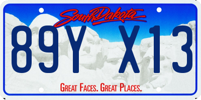 SD license plate 89YX13