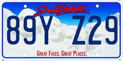 SD license plate 89YZ29