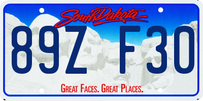 SD license plate 89ZF30