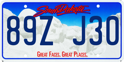 SD license plate 89ZJ30