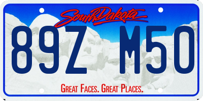 SD license plate 89ZM50
