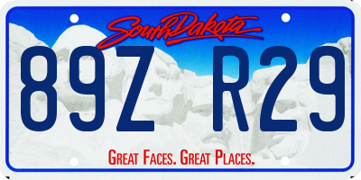 SD license plate 89ZR29