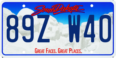 SD license plate 89ZW40