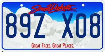 SD license plate 89ZX08