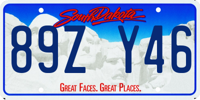 SD license plate 89ZY46