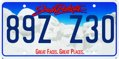 SD license plate 89ZZ30