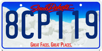 SD license plate 8CP119