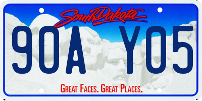 SD license plate 90AY05