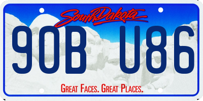 SD license plate 90BU86