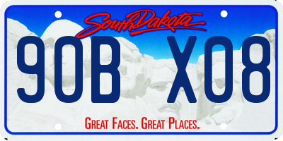 SD license plate 90BX08