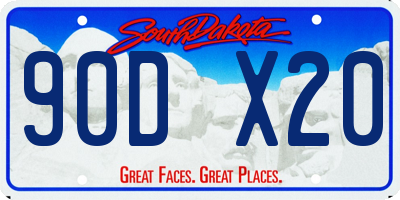 SD license plate 90DX20