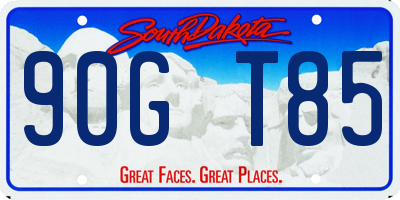SD license plate 90GT85