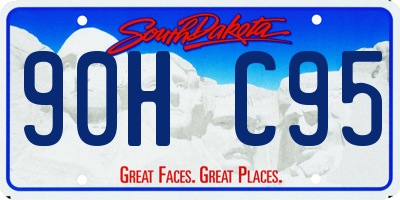SD license plate 90HC95