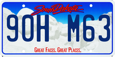 SD license plate 90HM63