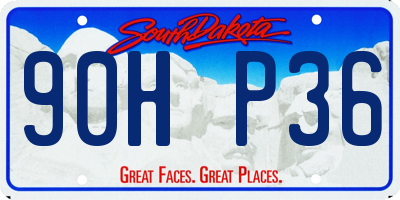 SD license plate 90HP36