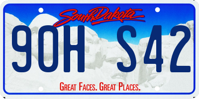 SD license plate 90HS42