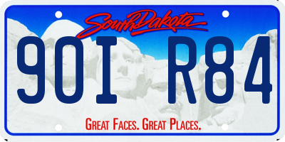 SD license plate 90IR84
