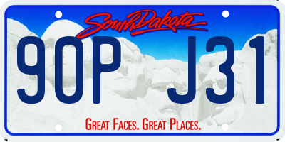 SD license plate 90PJ31