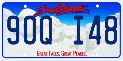SD license plate 90QI48