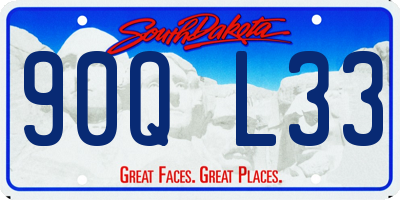 SD license plate 90QL33
