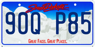 SD license plate 90QP85