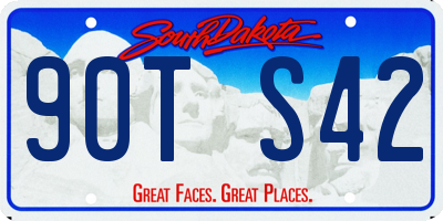 SD license plate 90TS42