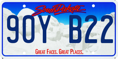 SD license plate 90YB22