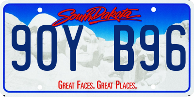 SD license plate 90YB96