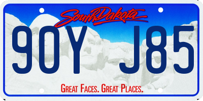 SD license plate 90YJ85