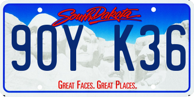 SD license plate 90YK36