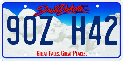 SD license plate 90ZH42