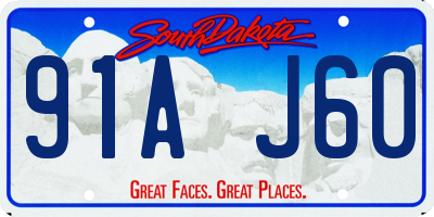 SD license plate 91AJ60