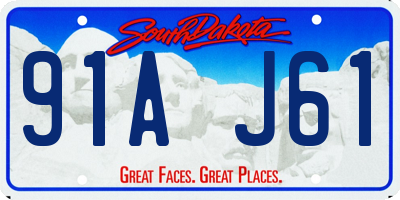 SD license plate 91AJ61