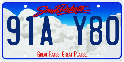 SD license plate 91AY80
