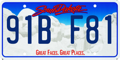 SD license plate 91BF81