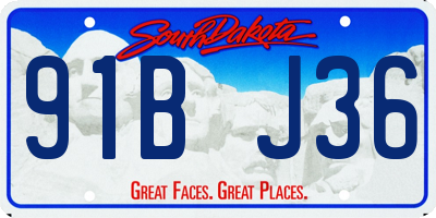 SD license plate 91BJ36