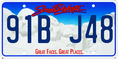 SD license plate 91BJ48