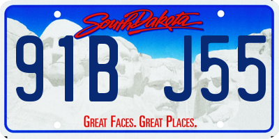SD license plate 91BJ55