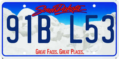 SD license plate 91BL53