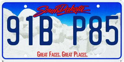 SD license plate 91BP85