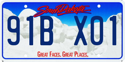 SD license plate 91BX01
