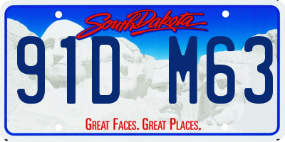 SD license plate 91DM63