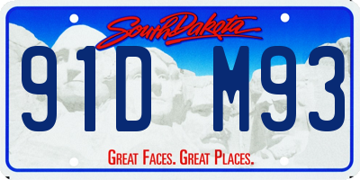 SD license plate 91DM93
