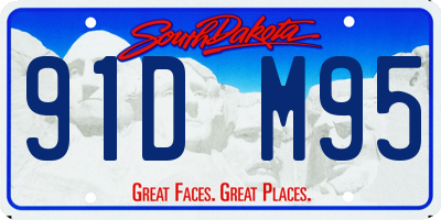 SD license plate 91DM95